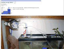 Tablet Screenshot of fishtankforums.com